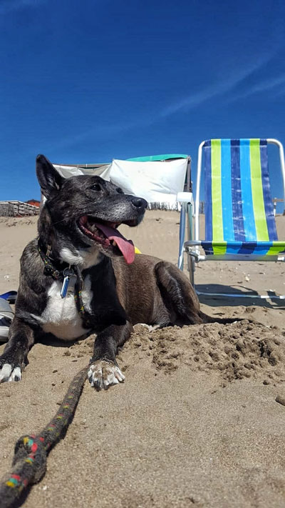 Ramón en la playa