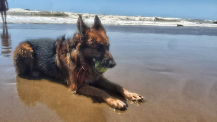 Lucas en la playa