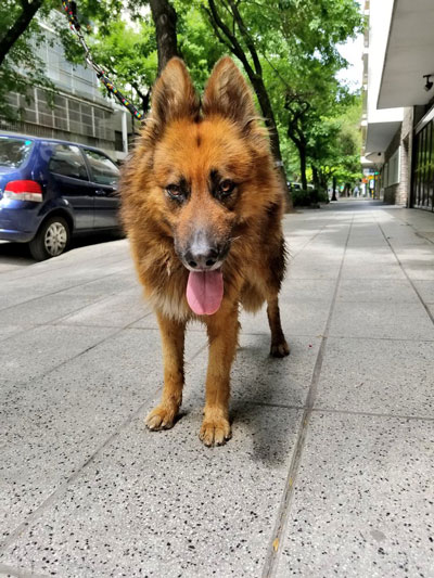 Lucas en la calle