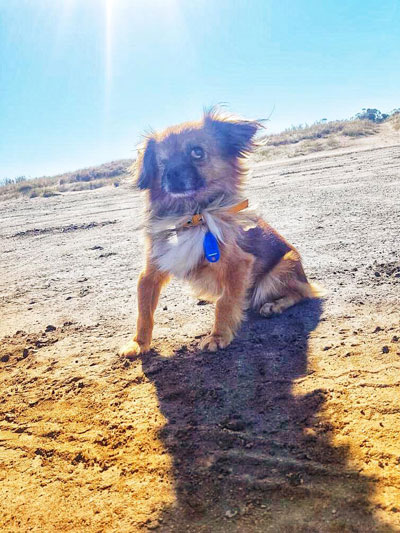  buck disfrutando de la playa